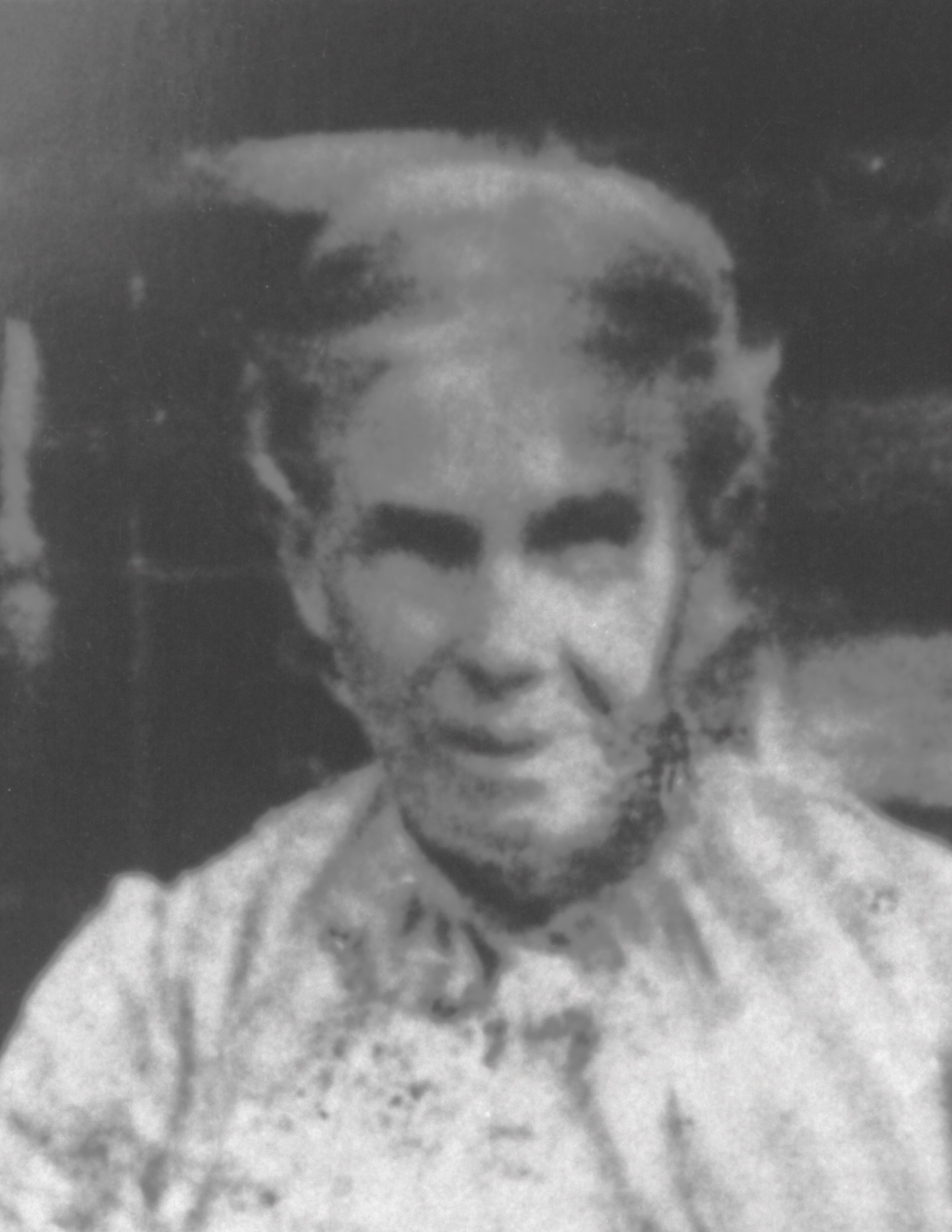 Sarah Jane Denning (1850 - 1915) Profile